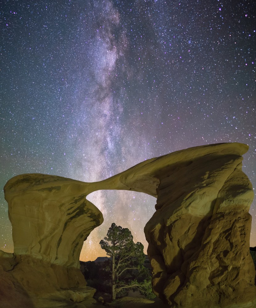 A thick sandstone arch frames a single tree, the Milky Way rising through the opening behind it.