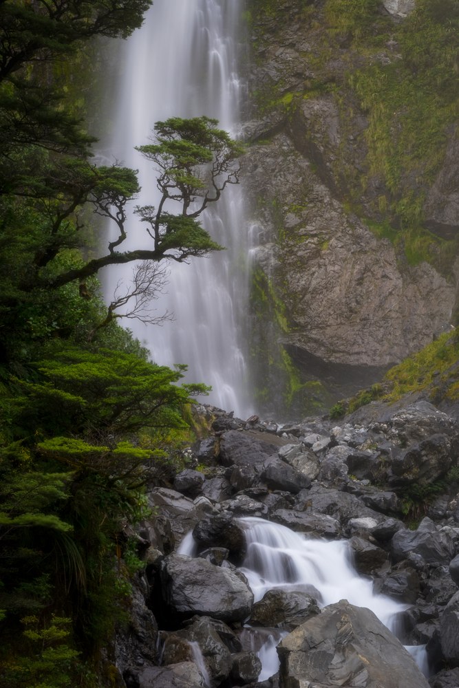 A gnarled tree leans out from a mossy wall in front of a tall waterfall, boulders and a small cascade below.