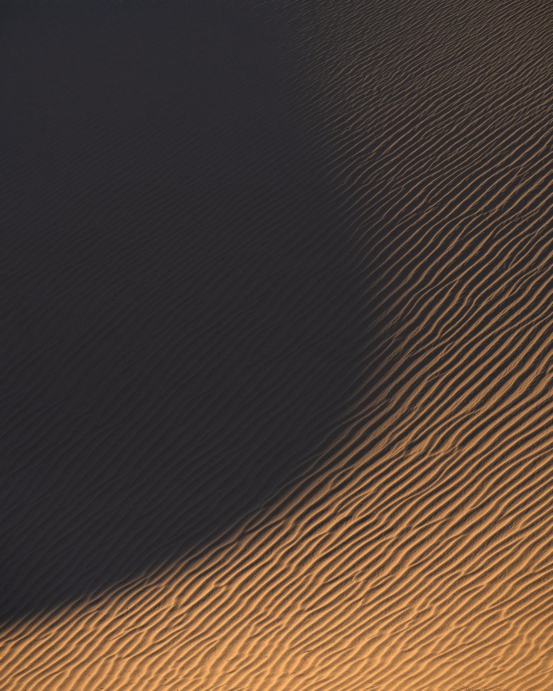 Wind ripples run across a dune face split on a diagonal between deep shadow and low gold light.