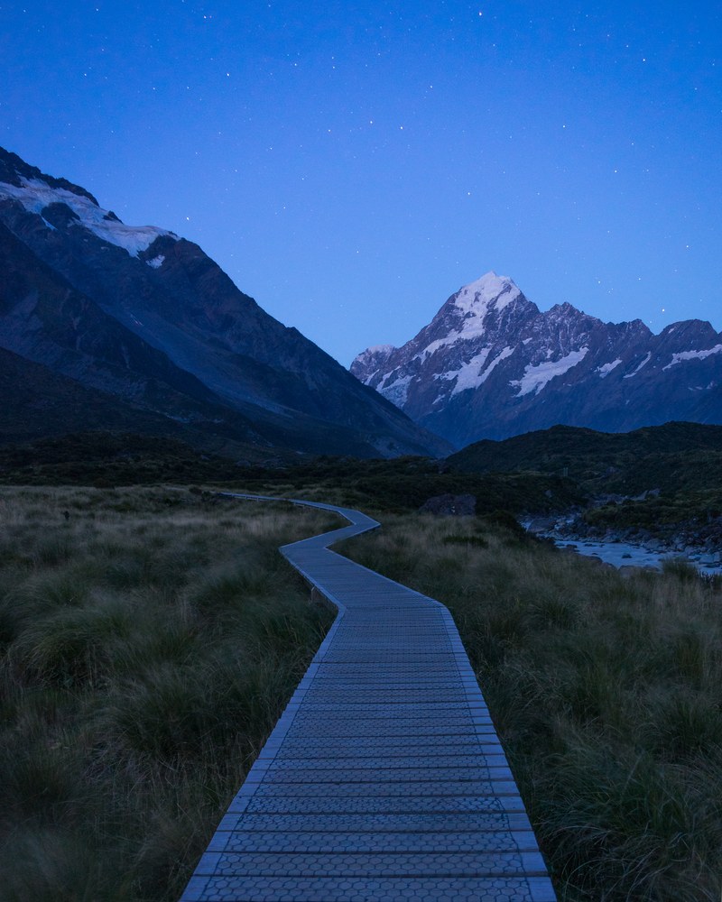 A boardwalk runs through tussock grass toward a distant snow-capped peak under a deep blue, star-scattered sky.