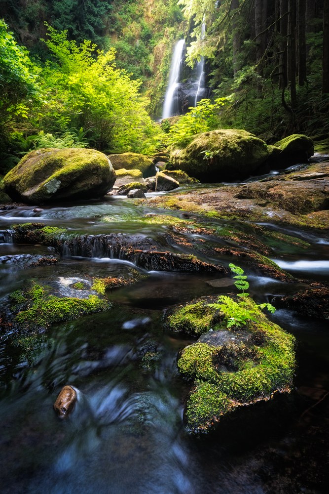 A slender waterfall drops through dark forest into a stream stepping down over moss-topped boulders, sunlit foliage to one side.