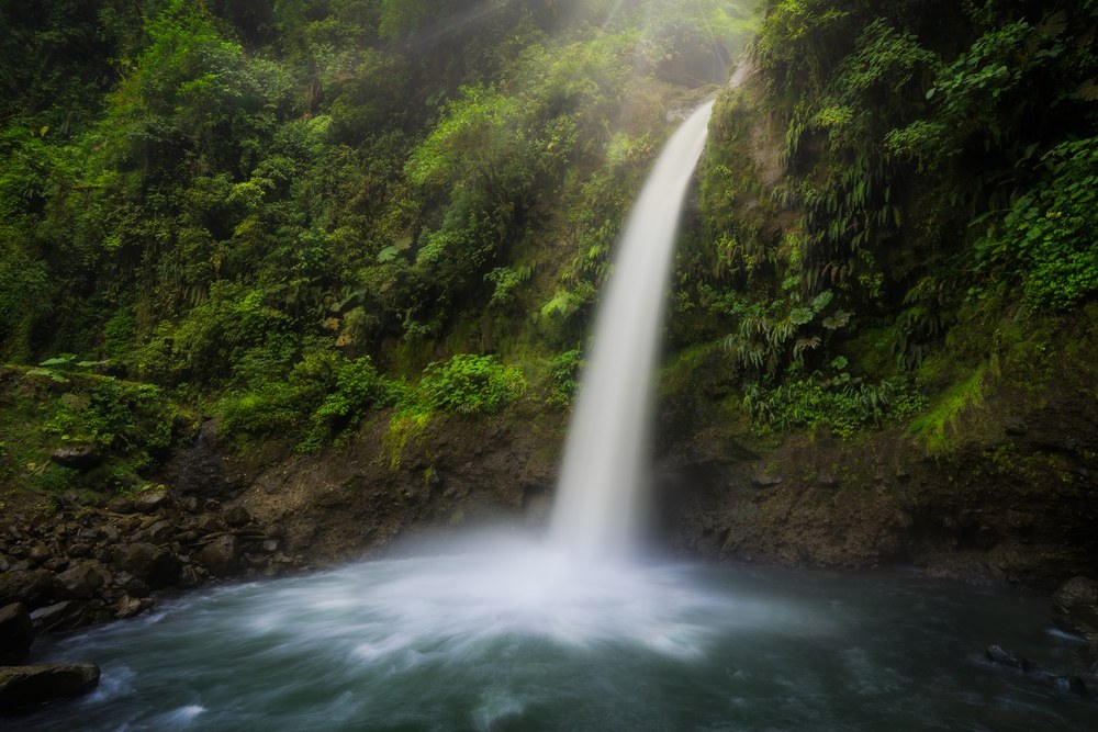 A single column of water falls down a jungle wall into a pale pool, sunlight flaring through the canopy above.