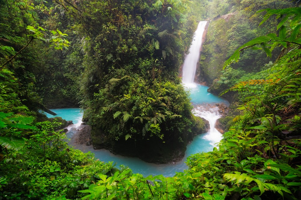 A turquoise river splits around a dense island of jungle and rejoins below it, a waterfall feeding in from the top.