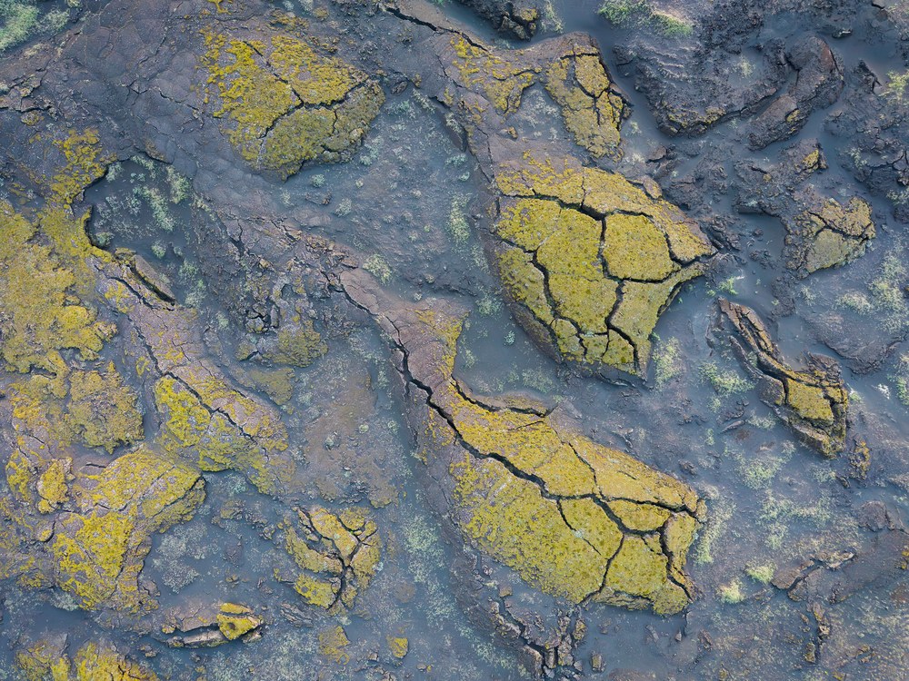 Seen from above, dark cracked lava crust is patched with acid-yellow moss in irregular plates.