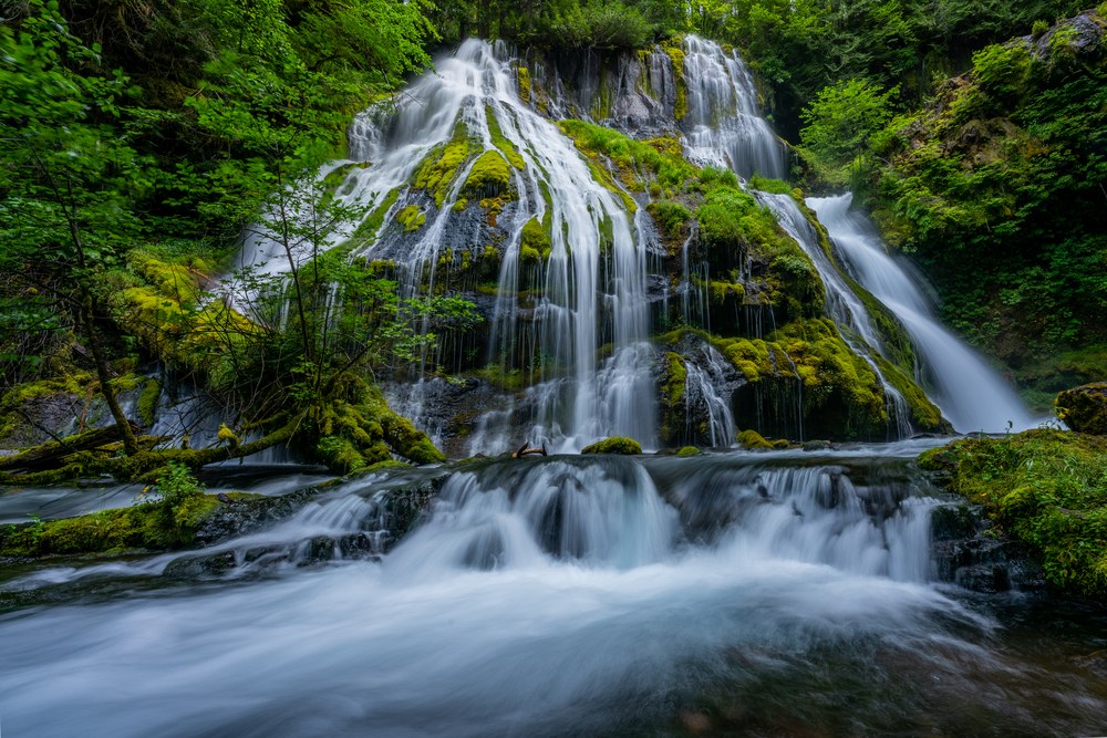 Dozens of small falls thread down a broad moss-covered wall into a creek that spills over a ledge in the foreground.