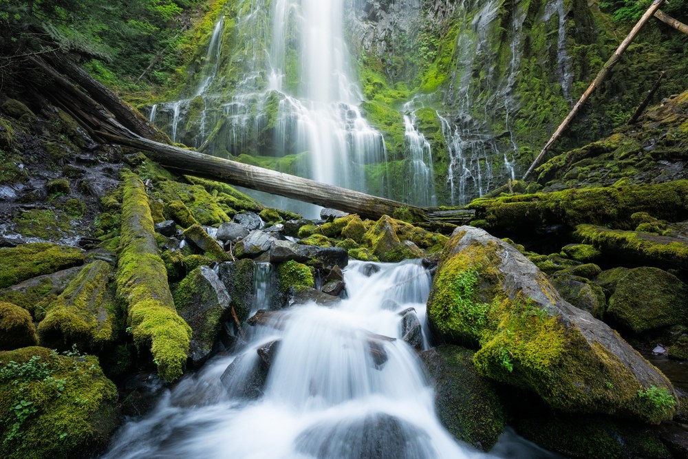 A wide fan of water spreads down a moss-covered wall behind a fallen log, a small cascade tumbling through mossy rock in front.