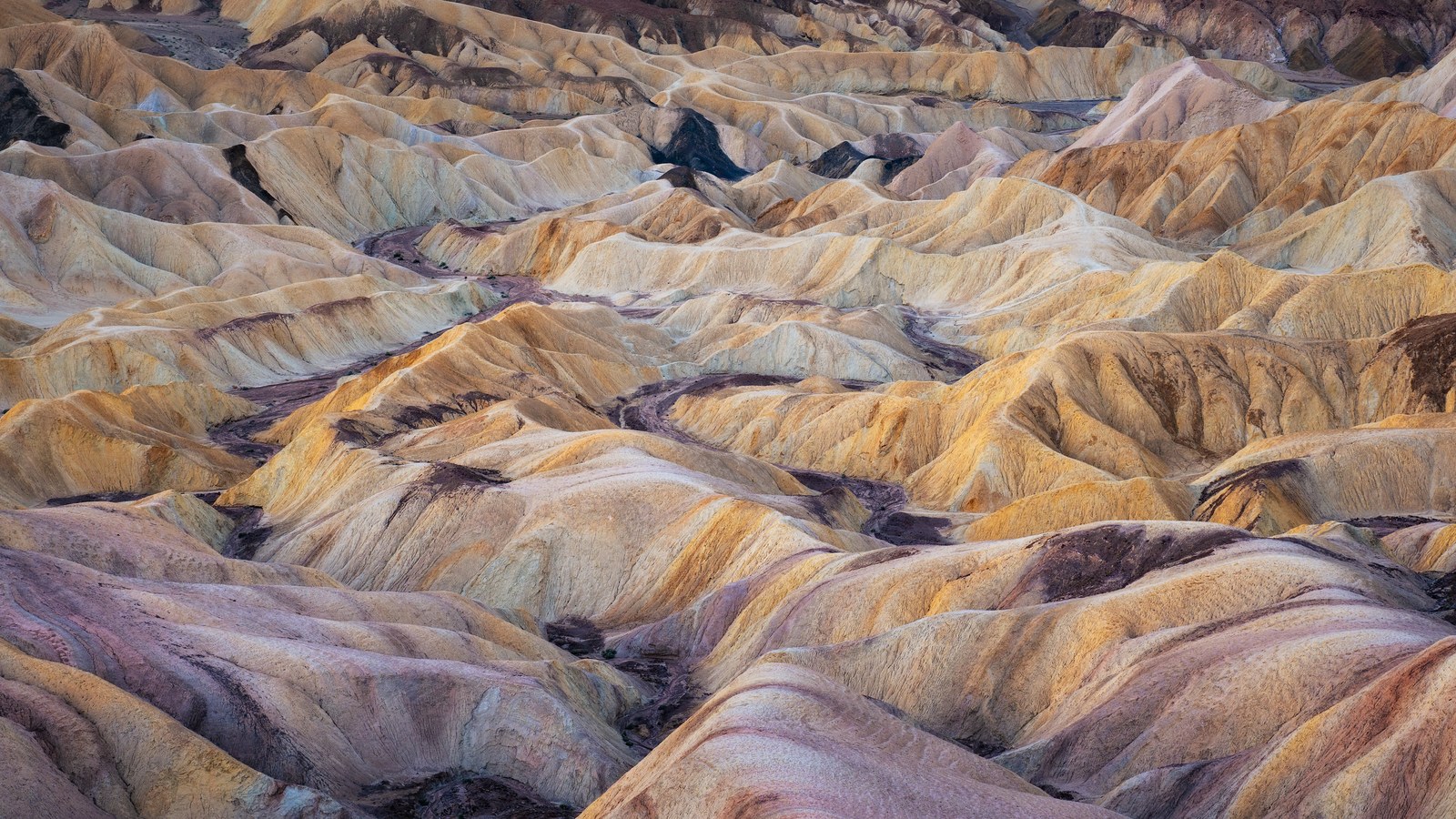Rows of eroded badland ridges in pale yellow, pink and mauve fill the frame, dark channels running between them.